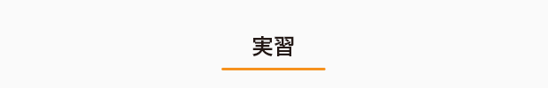 実習