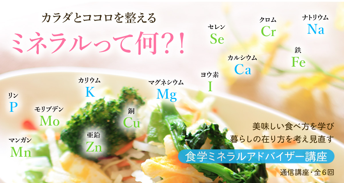 食学ミネラルアドバイザー講座｜国光 美佳・監修｜通信講座