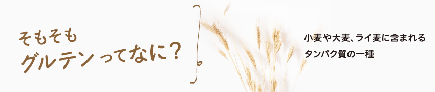 グルテンってなに？